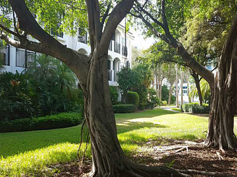 Aventura - Immobilier en Floride